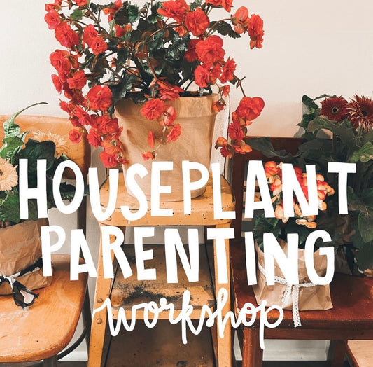Houseplant Parenting Class