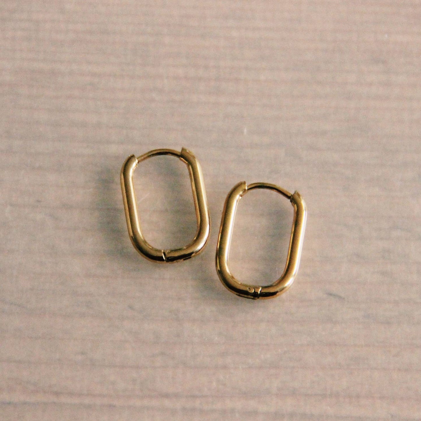 bazou earring  - gold hoop
