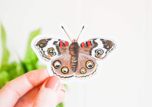 Buckeye Butterfly Sticker