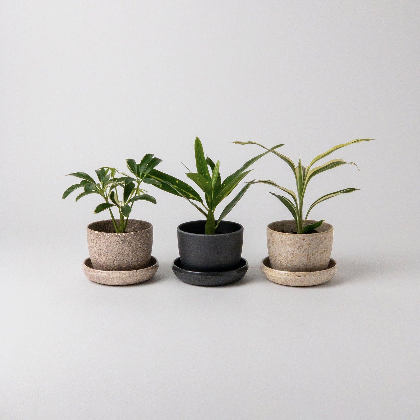 Kanso Designs Mini Planter